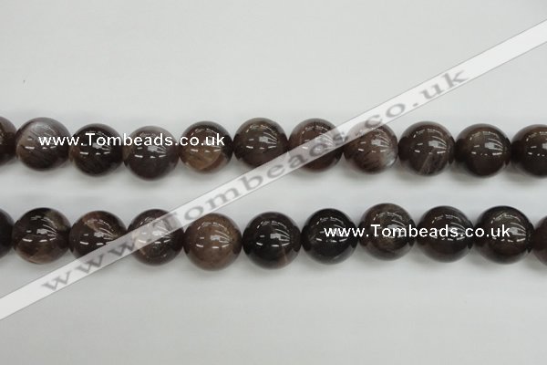 CMS147 15.5 inches 14mm round natural grey moonstone beads