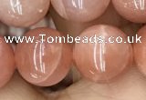 CMS1478 15.5 inches 12mm round moonstone beads wholesale