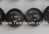 CMS148 15.5 inches 14mm round natural grey moonstone beads