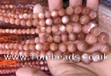 CMS1482 15.5 inches 4mm - 12mm round golden moonstone graduated beads