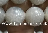 CMS1654 15.5 inches 12mm round grey moonstone beads wholesale