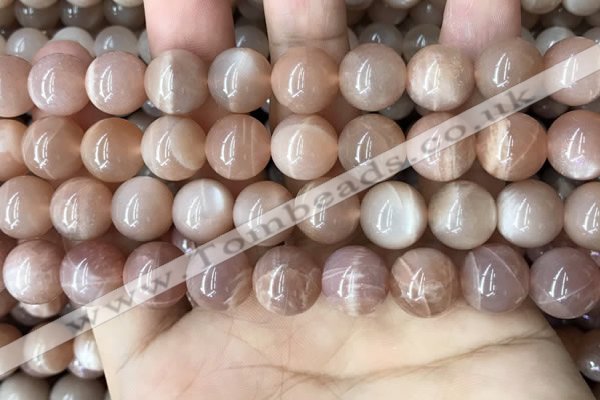 CMS1674 15.5 inches 12mm round moonstone beads wholesale