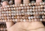 CMS1677 15.5 inches 4mm faceted round moonstone beads wholesale