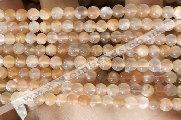 CMS1711 15.5 inches 5mm round rainbow moonstone beads wholesale