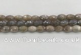 CMS1775 15.5 inches 8*12mm faceted rice AB-color moonstone beads