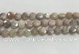 CMS1789 15.5 inches 10mm faceted coin AB-color moonstone beads