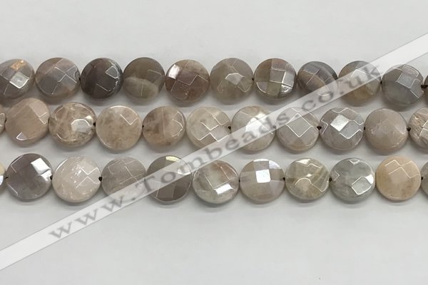 CMS1790 15.5 inches 12mm faceted coin AB-color moonstone beads