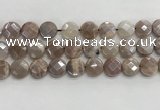 CMS1791 15.5 inches 14mm faceted coin AB-color moonstone beads
