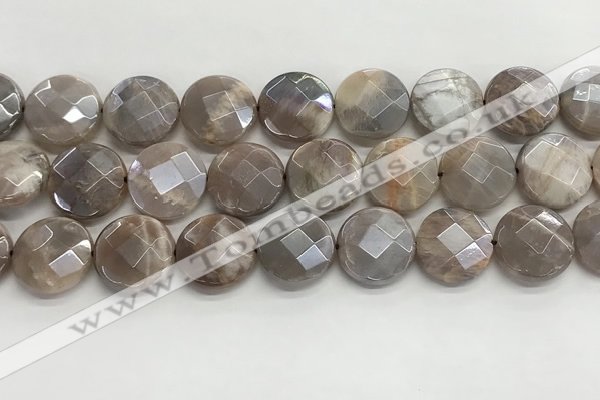 CMS1793 15.5 inches 18mm faceted coin AB-color moonstone beads