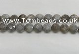 CMS1819 15.5 inches 14mm faceted coin AB-color moonstone beads