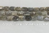 CMS1825 15.5 inches 12*16mm faceted rectangle AB-color moonstone beads