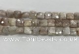 CMS1828 15.5 inches 12*12mm faceted square AB-color moonstone beads