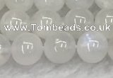 CMS1902 15.5 inches 8mm round white moonstone gemstone beads