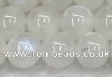 CMS1903 15.5 inches 10mm round white moonstone gemstone beads