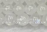 CMS1906 15.5 inches 6mm round white moonstone gemstone beads