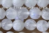 CMS1921 15.5 inches 6mm round white moonstone gemstone beads