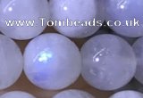 CMS1923 15.5 inches 10mm round white moonstone gemstone beads