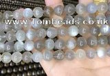 CMS1943 15.5 inches 10mm round grey moonstone beads wholesale