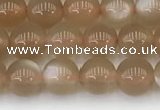 CMS1956 15.5 inches 5mm round natural moonstone gemstone beads