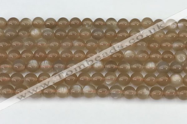 CMS1957 15.5 inches 6mm round natural moonstone gemstone beads