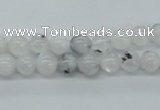 CMS201 15.5 inches 6mm round moonstone gemstone beads wholesale