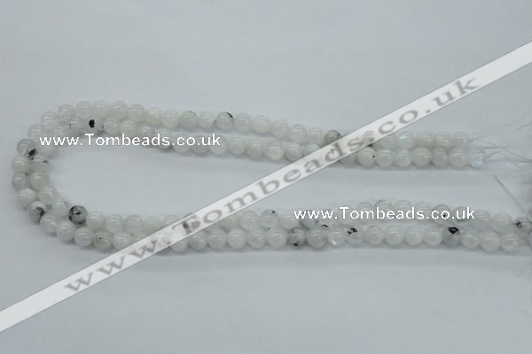 CMS201 15.5 inches 6mm round moonstone gemstone beads wholesale