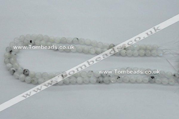 CMS202 15.5 inches 7mm round moonstone gemstone beads wholesale