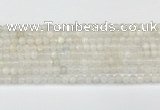 CMS2024 15.5 inches 4mm round white moonstone beads wholesale