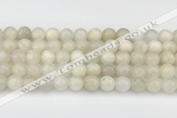 CMS2028 15.5 inches 8mm round white moonstone beads wholesale