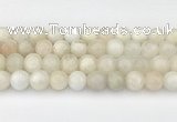 CMS2029 15.5 inches 10mm round white moonstone beads wholesale