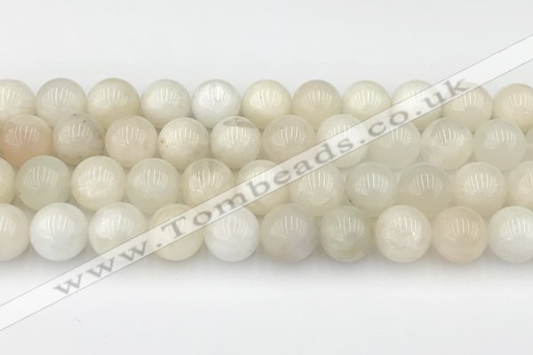 CMS2029 15.5 inches 10mm round white moonstone beads wholesale