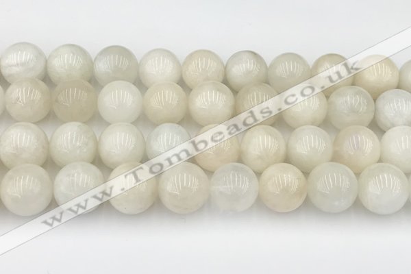 CMS2031 15.5 inches 14mm round white moonstone beads wholesale