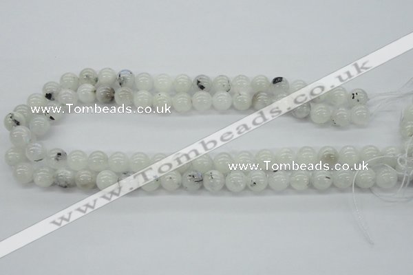 CMS204 15.5 inches 10mm round moonstone gemstone beads wholesale