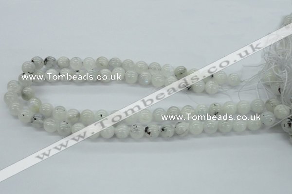 CMS205 15.5 inches 11mm round moonstone gemstone beads wholesale