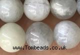 CMS2051 15.5 inches 8mm round moonstone gemstone beads