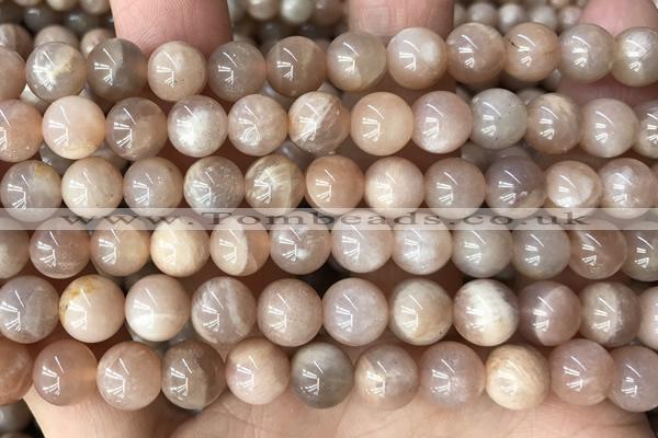 CMS2055 15.5 inches 8mm round moonstone gemstone beads