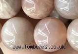 CMS2056 15.5 inches 10mm round moonstone gemstone beads