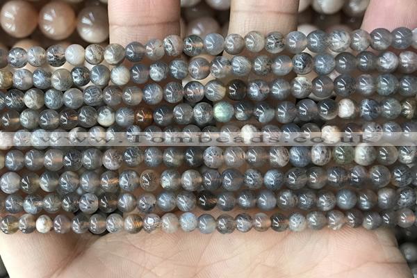 CMS2058 15.5 inches 4mm round moonstone gemstone beads