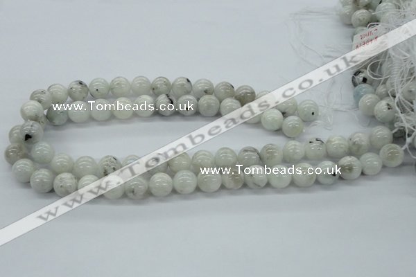 CMS206 15.5 inches 12mm round moonstone gemstone beads wholesale