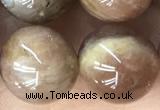 CMS2065 15.5 inches 12mm round moonstone gemstone beads