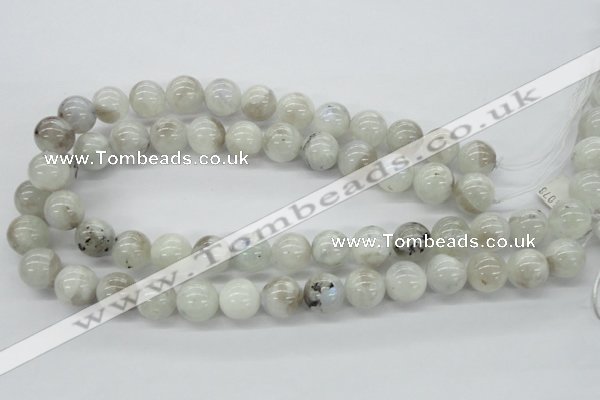 CMS207 15.5 inches 14mm round moonstone gemstone beads wholesale