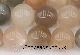 CMS2071 15 inches 8mm round moonstone gemstone beads