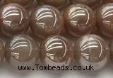 CMS2083 15 inches 10mm round AB-color moonstone beads