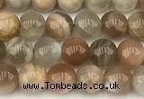 CMS2086 15 inches 6mm round moonstone gemstone beads