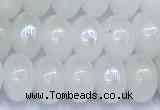 CMS2104 15 inches 5*8mm rondelle AB-color moonstone beads