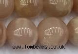 CMS2114 15 inches 11mm round moonstone beads