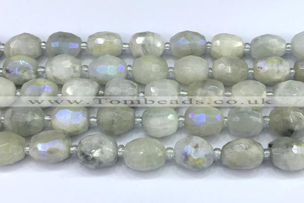 CMS2131 15 inches 10*14mm - 12*16mm faceted nuggets AB-color moonstone beads