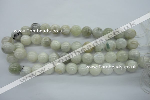 CMS217 15.5 inches 16mm round white moonstone gemstone beads