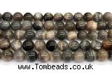 CMS2289 15 inches 10mm round grey moonstone beads wholesale