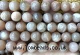 CMS2358 15 inches 12mm round moonstone beads wholesale